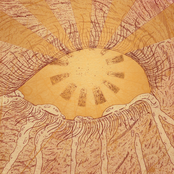 Malevich: Into Bliss