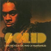 Solid (A Moment) In The Mind Of Pirahnahead