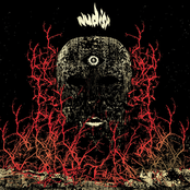 See the Light Beyond the Spiral