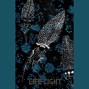 Life Light