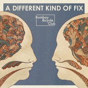 Fracture by Bombay Bicycle Club