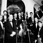 sofia soloists chamber orchestra