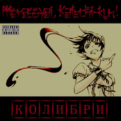 Колибри