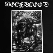 Wolfblood (Compilation)