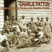 Jesus Is A Dying Bed Maker by Charley Patton