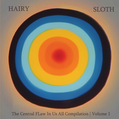 Hairy Sloth Records - The Central FLaw In Us All Compilation Volume #1