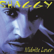 Way Back Home by Shaggy