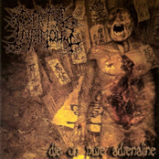 Torpidity To Extinction Of Breed (Re-Re-Issue)