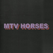 MTV Horses