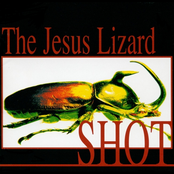The Jesus Lizard: Shot