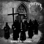 Wailing of the Fuzzslaves