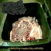 Composted Colorectal Contents