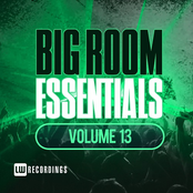 Big Room Essentials, Vol. 13