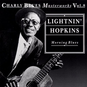 Ride In Your New Automobile by Lightnin' Hopkins
