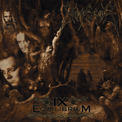 ix equilibrium