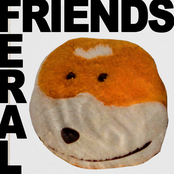 Feral Friends