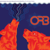 Auntie Aubrey's Excursions Beyond The Call Of Duty Part 3: The Orb Remix Project