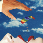 Sun Junkies: Parachuting