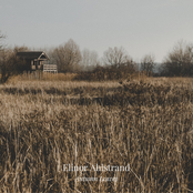 Autumn Leaves - Single