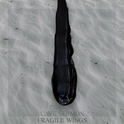 Fragile Wings