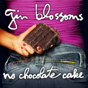 Don't Change For Me by Gin Blossoms