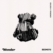 Wonder - Single