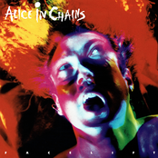 Alice in Chains: Facelift