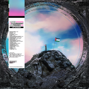 Là où fleurissent les pierres