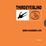 Semi-Charmed Life