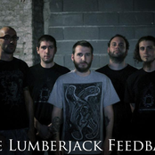 the lumberjack feedback