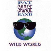 Wild World