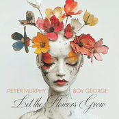 Let The Flowers Grow (Juno Reactor Remix)