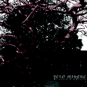 Retrospectiva de la fatalidad