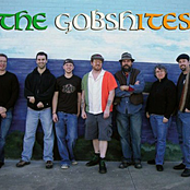 The Gobshites