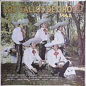 los gallos de oro