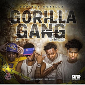Gorilla Gang