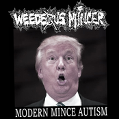 "Modern Mince Autism" (2016)