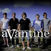 avantine