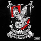 Flesh Wound [Explicit]