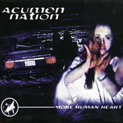 Punkass by Acumen Nation