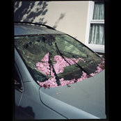 Bird of Peace Orchestra