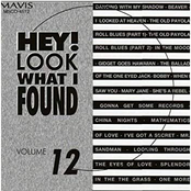 Hey! Look What I Found - Vol. 12