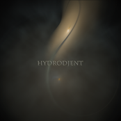 Hydrodjent