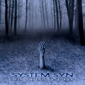 Confession by System Syn