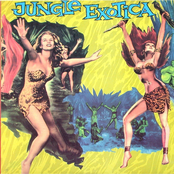 Jungle Exotica