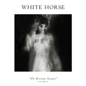 THE REVENANT GOSPELS - volume II