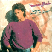 fernando allende