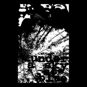 Demo- Summer 2014