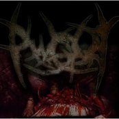 Playing With Guts Of Torso (Demo)