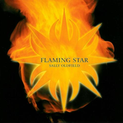 Flaming Star by Sally Oldfield